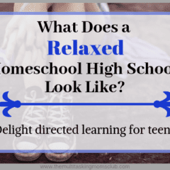 what does a relaxed homeschool high school look like