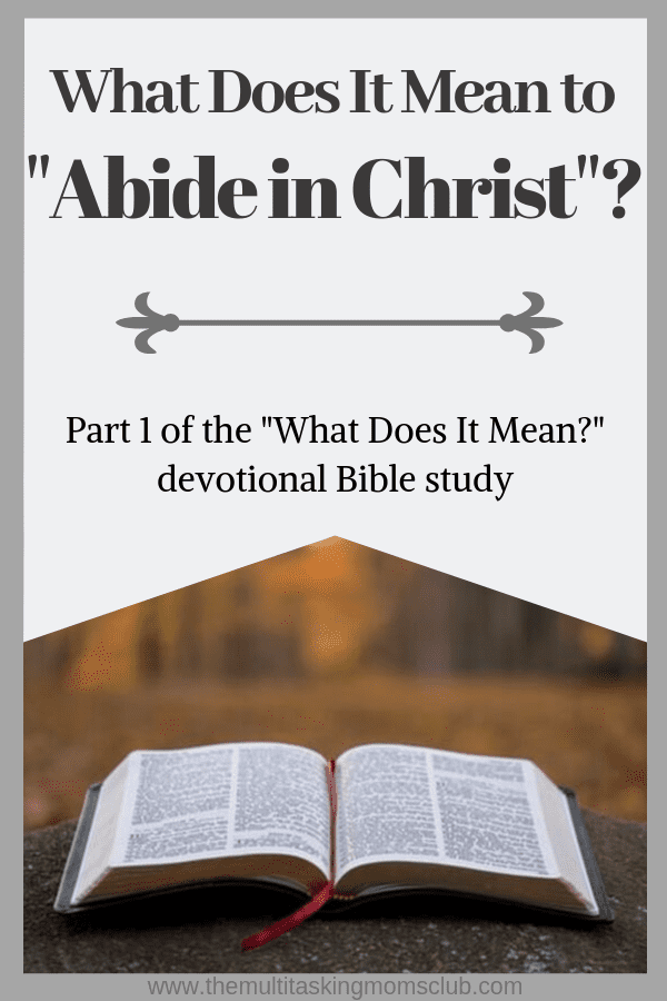 The text What Does It Mean to Abide in Christ - Part 1 of the What Does It Mean devotional Bible study over a bible in the forest