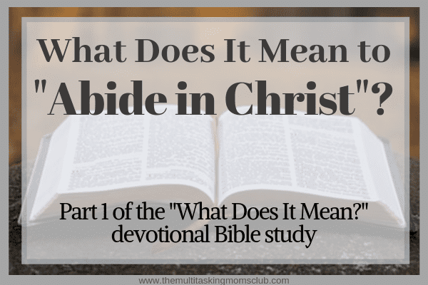 what does it mean to abide in christ over a bible