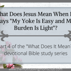 what does Jesus mean when he says "my yoke is easy and my burden is light"?