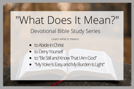 what does it mean devotional Bible study series